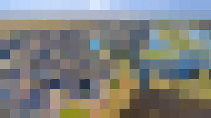 Potakker 25 Alkmaar thumbnail 6