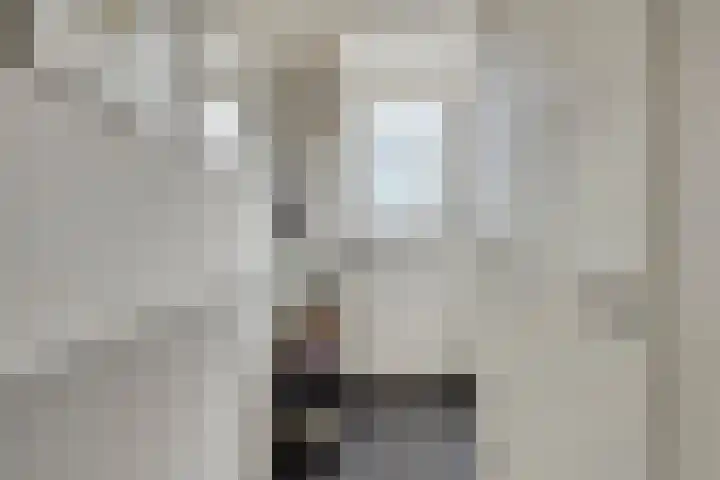Potakker 25 Alkmaar thumbnail 8