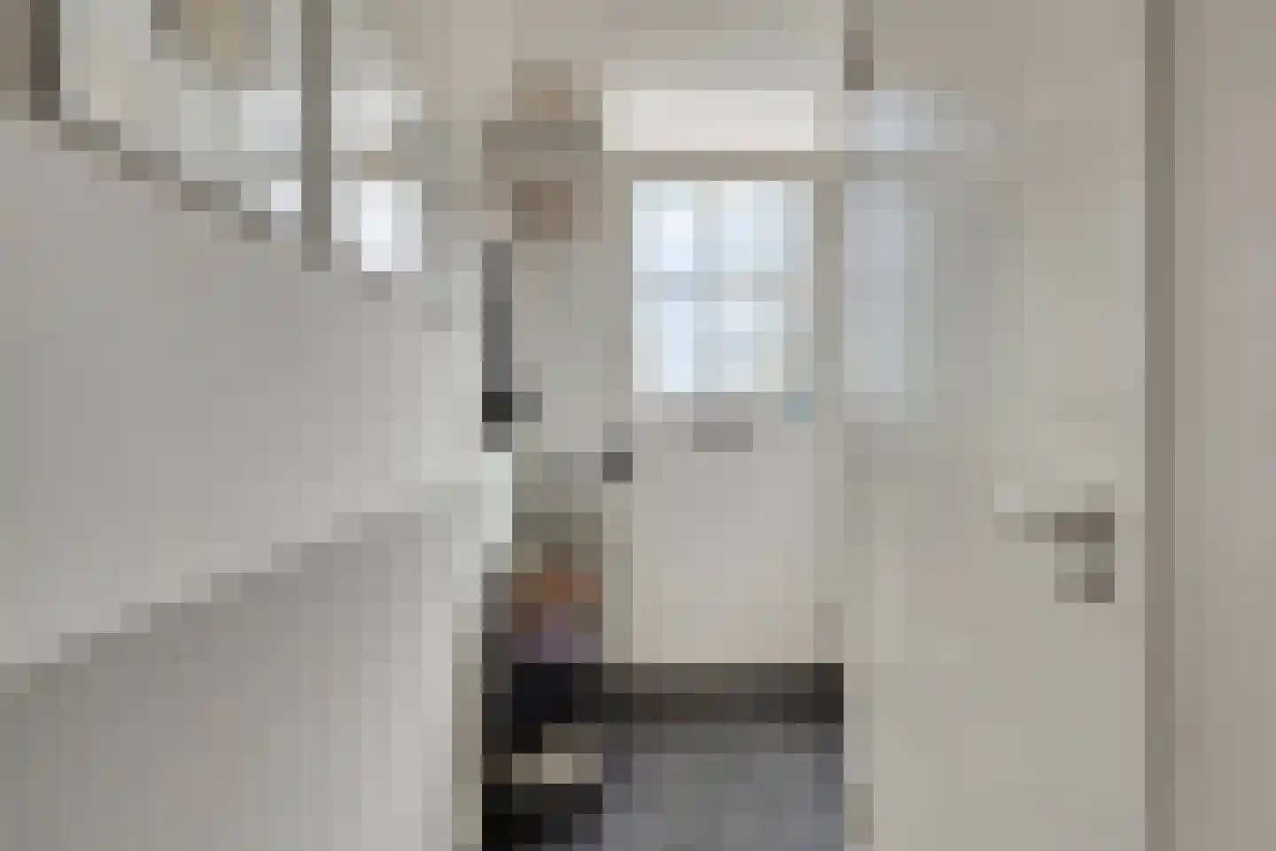 Potakker 25 Alkmaar thumbnail 8