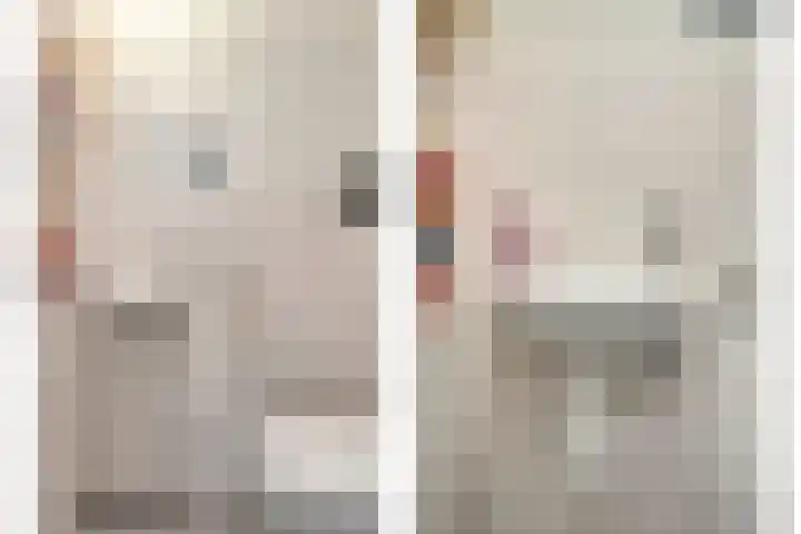 Potakker 25 Alkmaar thumbnail 9