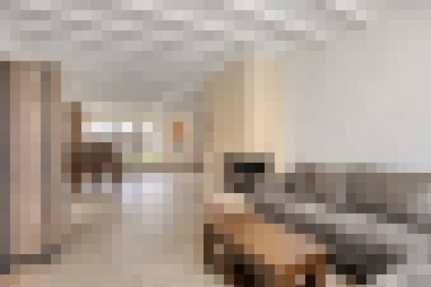 Potakkerstraat 1 Veldhoven thumbnail 9