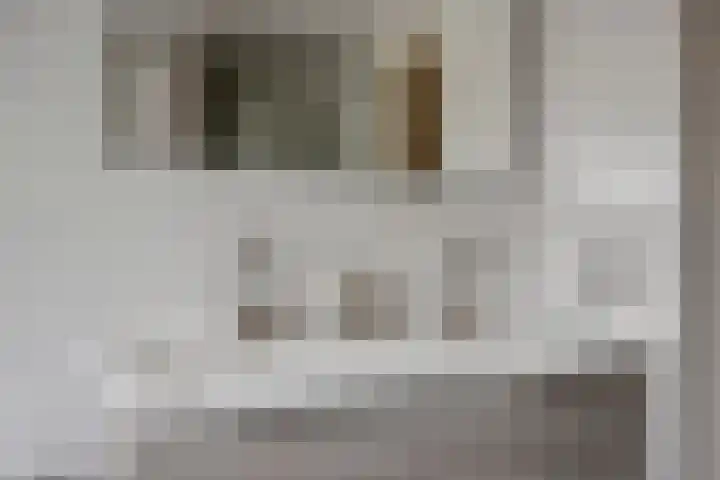 Potakkerstraat 18 Veldhoven thumbnail 21