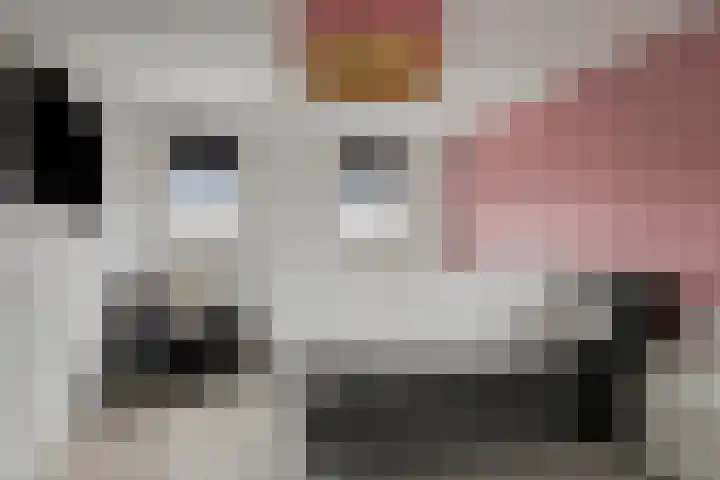 Potakkerstraat 18 Veldhoven thumbnail 27