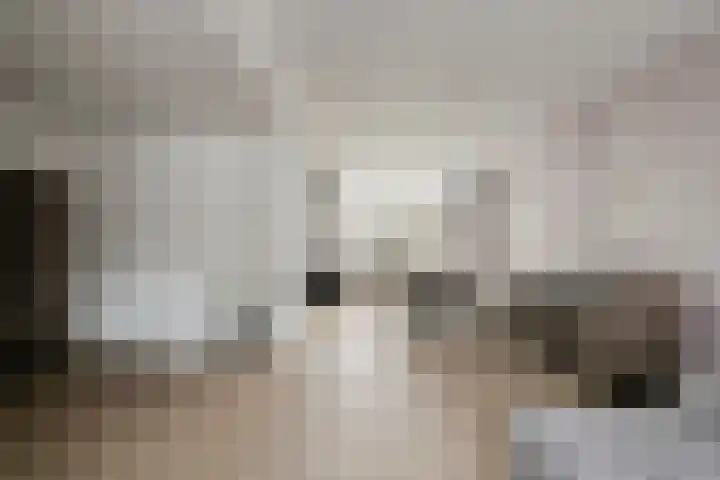 Potakkerstraat 18 Veldhoven thumbnail 8