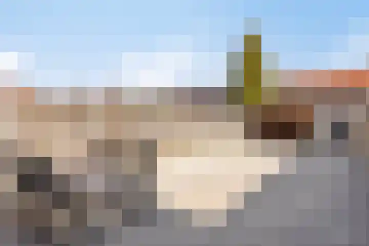 Potakkerstraat 8 Veldhoven thumbnail 12
