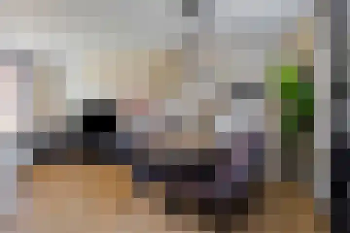 Potakkerstraat 8 Veldhoven thumbnail 5