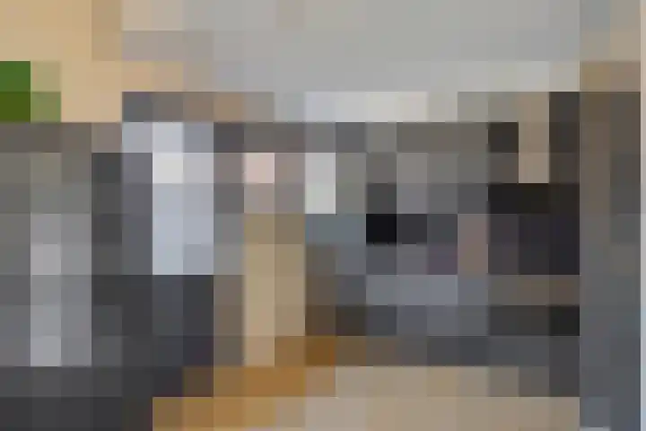 Potakkerstraat 8 Veldhoven thumbnail 6