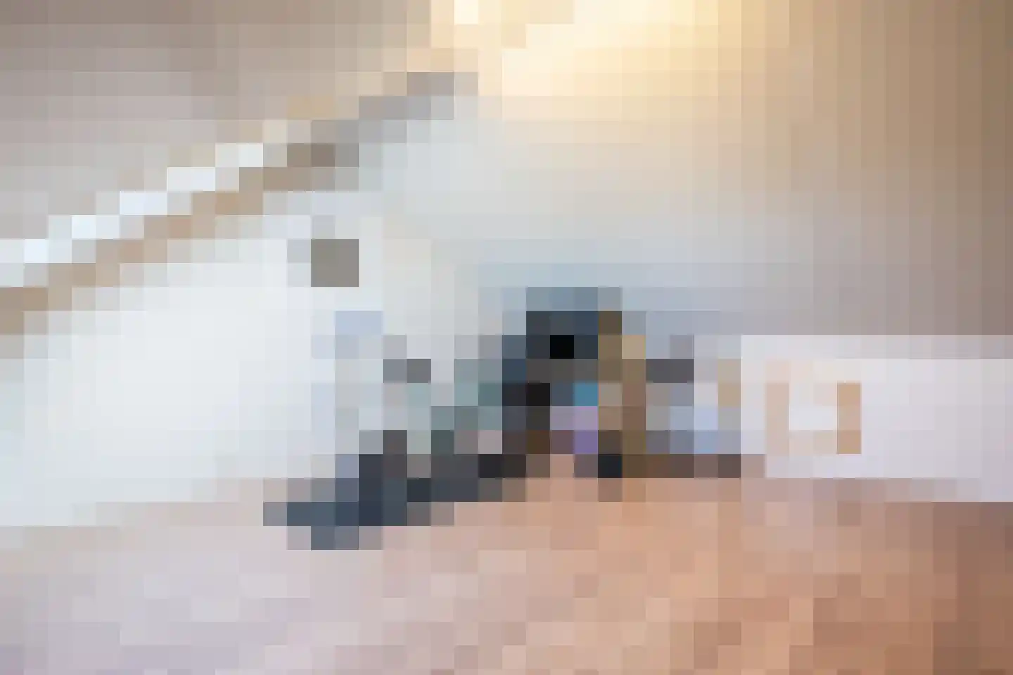 Potbeker 19 Cuijk thumbnail 21