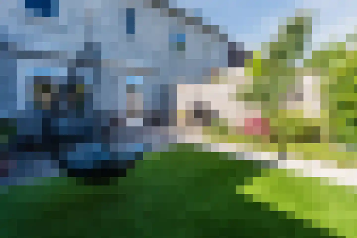 Potbeker 19 Cuijk thumbnail 25