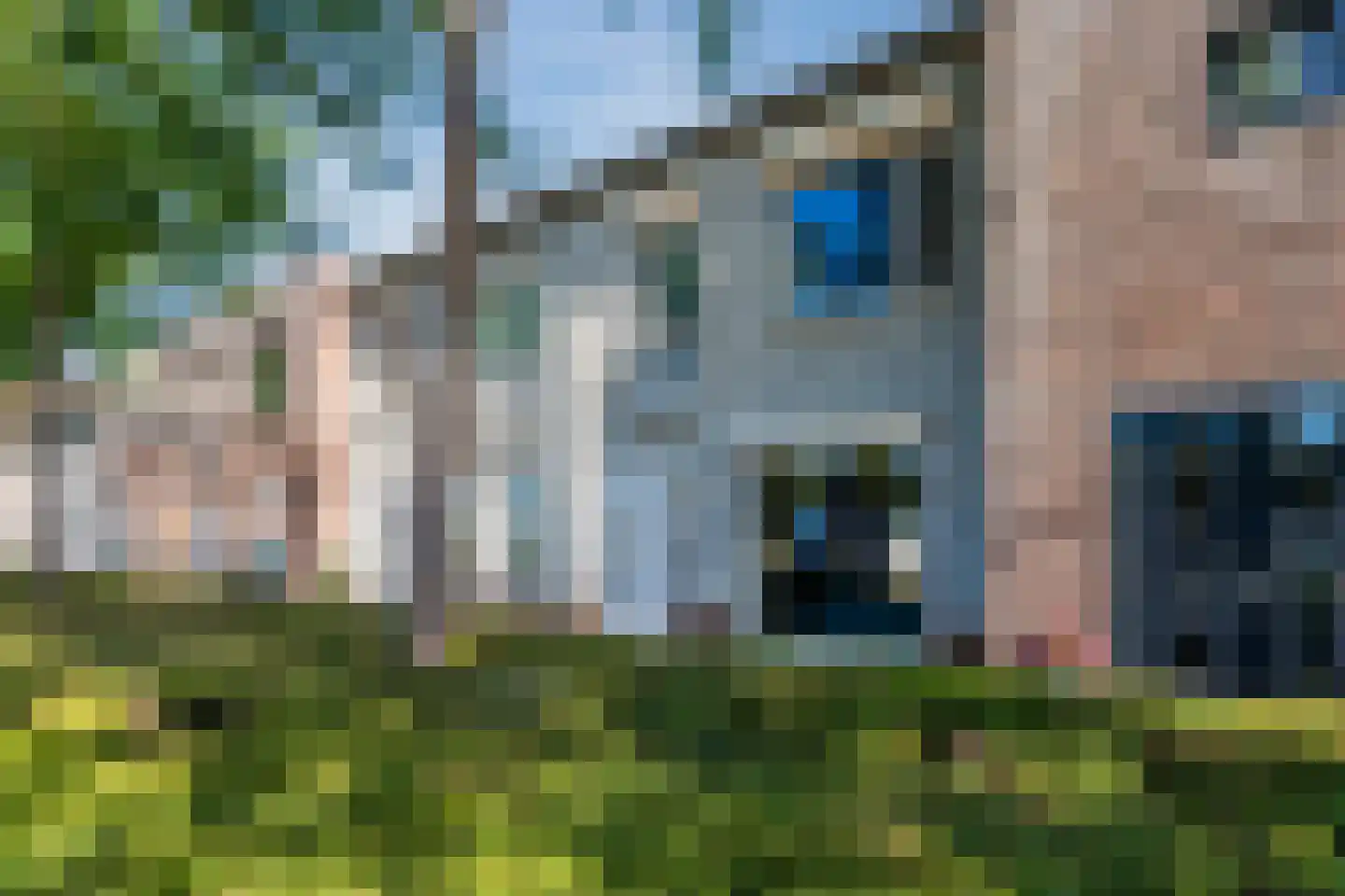 Potbeker 19 Cuijk thumbnail 30