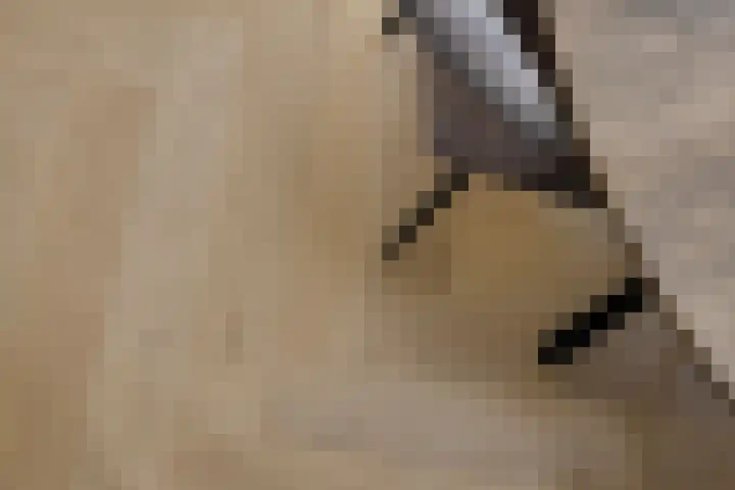 Potbeker 22 Heesch thumbnail 20
