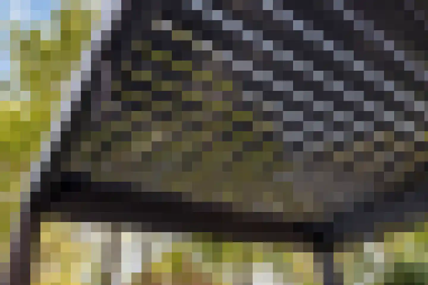 Potbeker 22 Heesch thumbnail 38