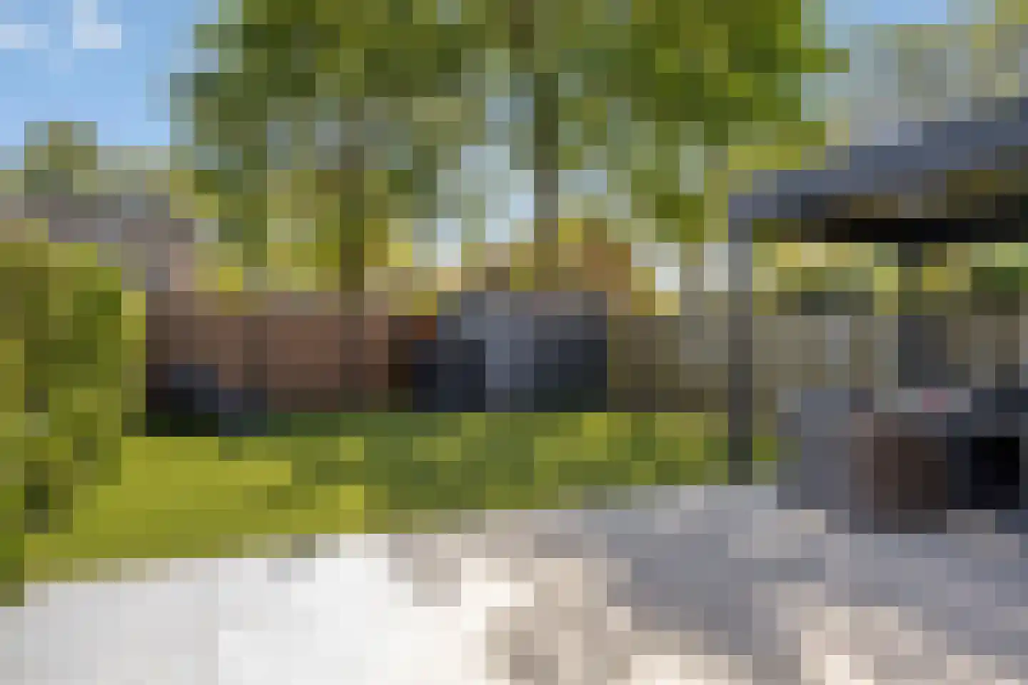 Potbeker 22 Heesch thumbnail 39