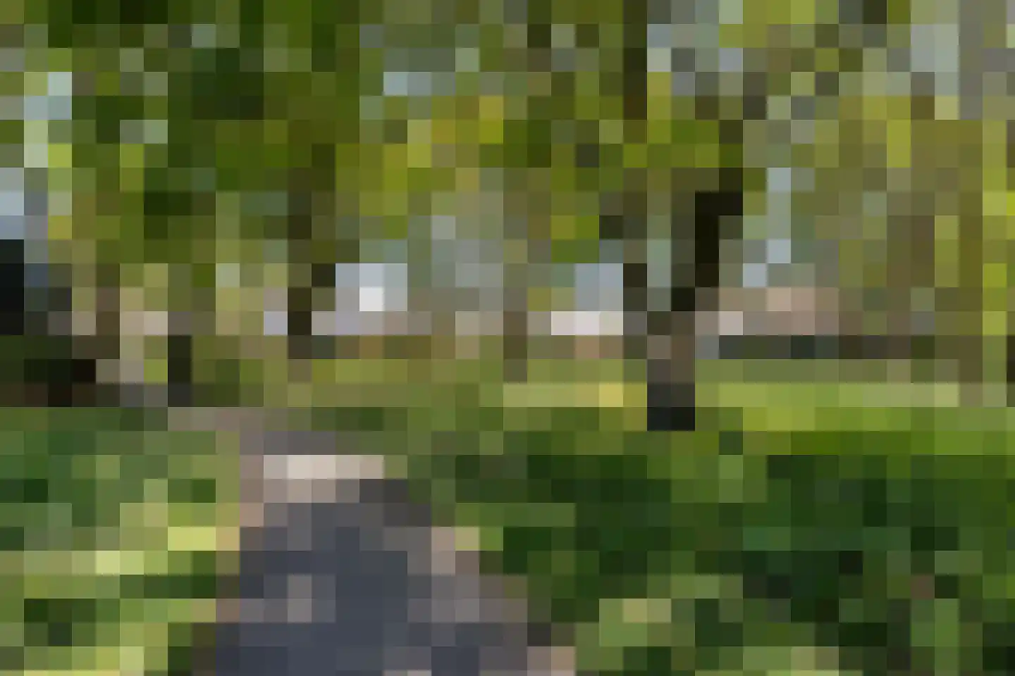 Potbeker 22 Heesch thumbnail 46