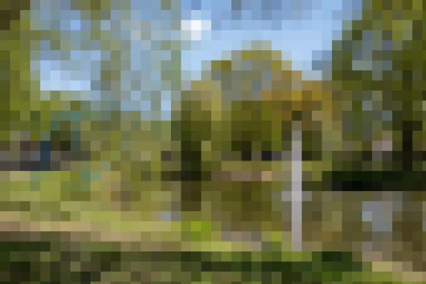 Potbeker 22 Heesch thumbnail 47
