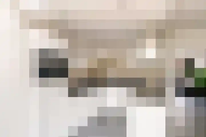 Potbeker 30 Heesch thumbnail 13