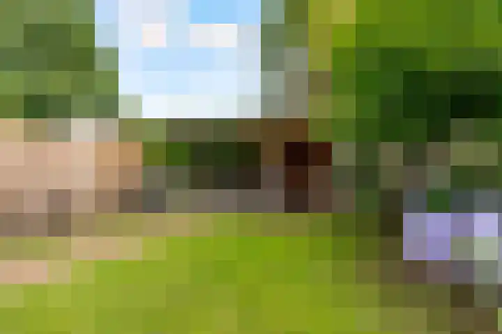 Potbeker 30 Heesch thumbnail 17