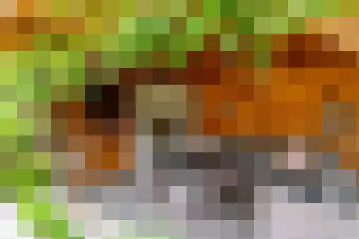 Potbeker 30 Heesch thumbnail 21