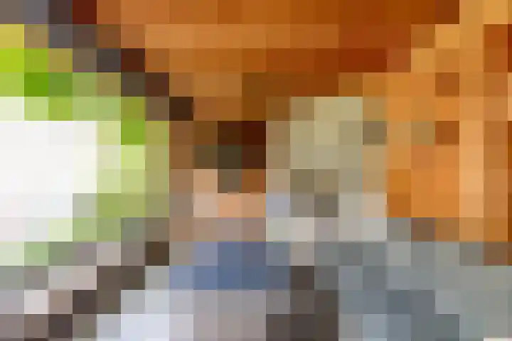 Potbeker 30 Heesch thumbnail 22