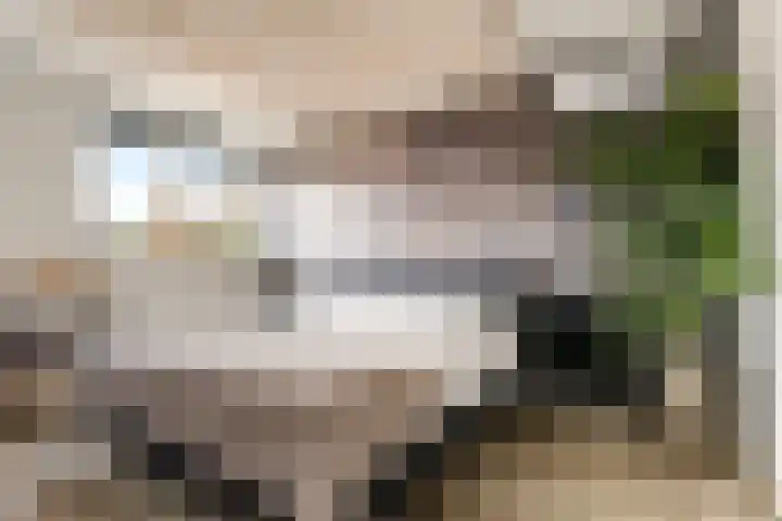 Potbeker 30 Heesch thumbnail 25