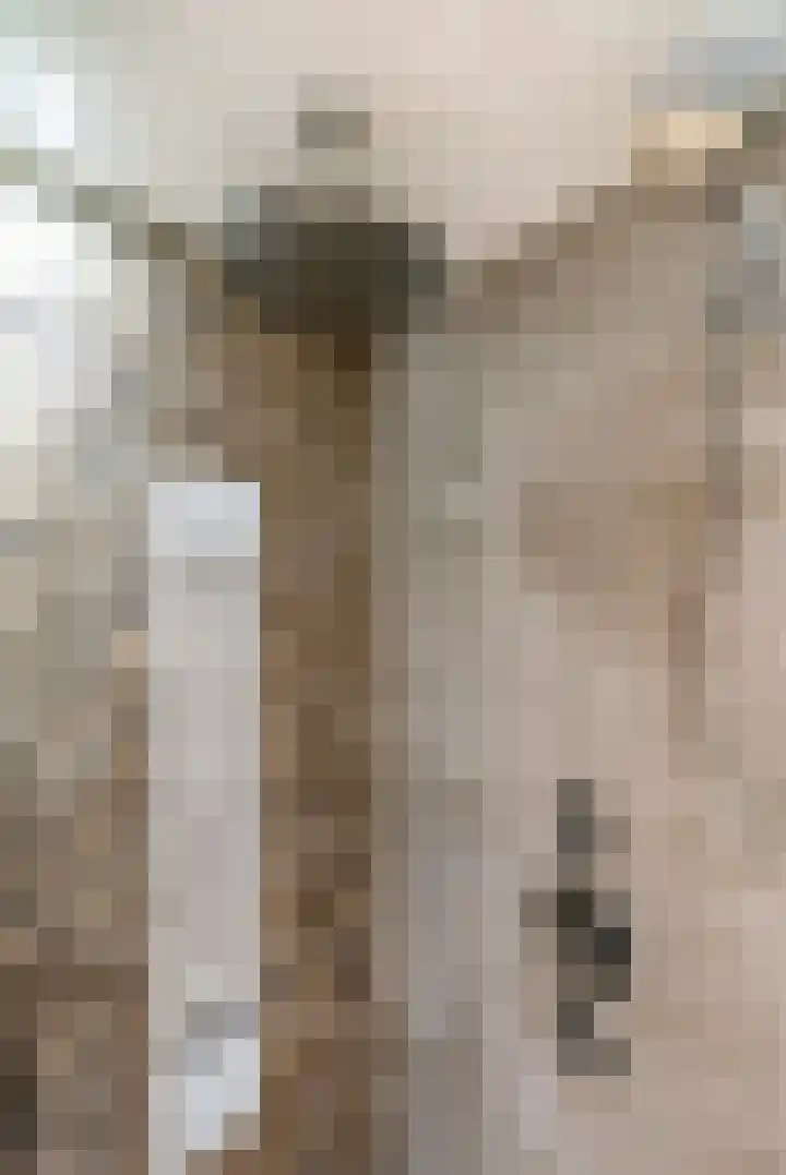 Potbeker 30 Heesch thumbnail 33