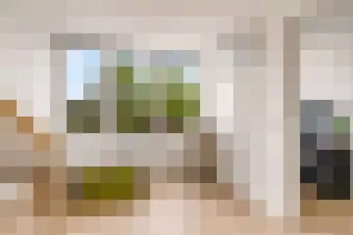 Potbeker 30 Heesch thumbnail 36