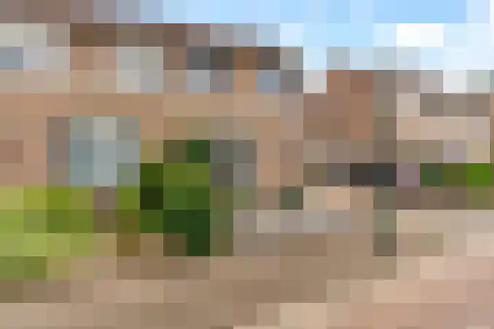 Potbeker 30 Heesch thumbnail 40