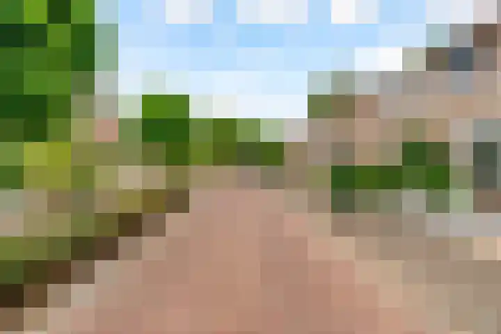 Potbeker 30 Heesch thumbnail 43