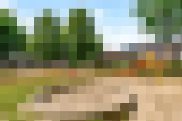 Potbeker 30 Heesch thumbnail 44