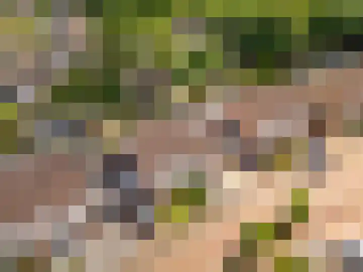 Potbeker 30 Heesch thumbnail 45