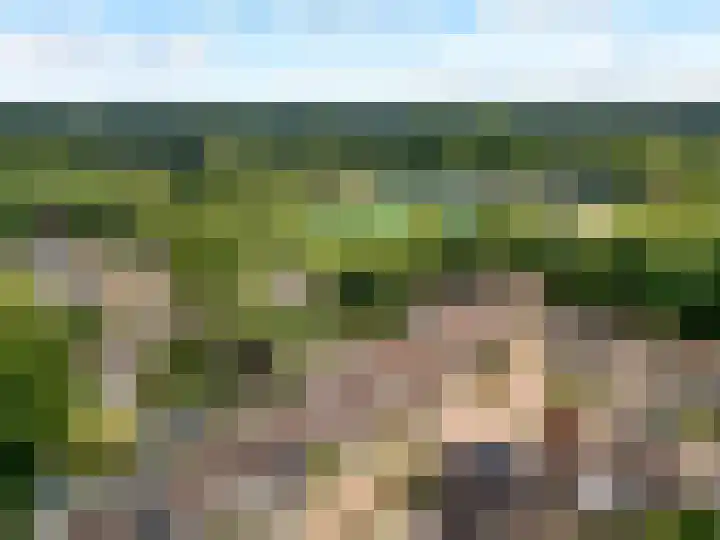 Potbeker 30 Heesch thumbnail 46