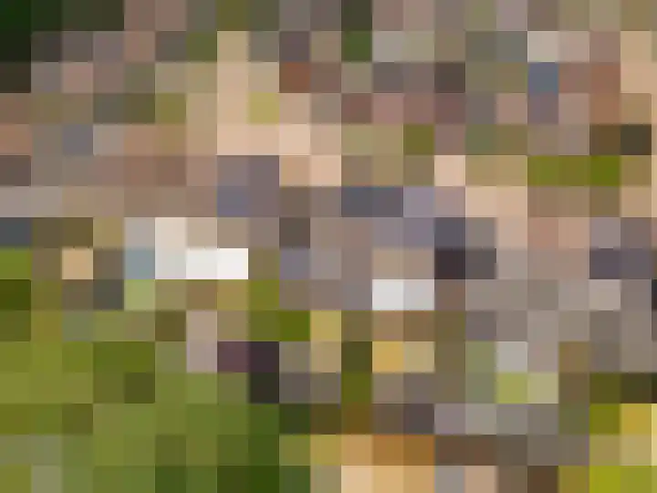 Potbeker 30 Heesch thumbnail 49