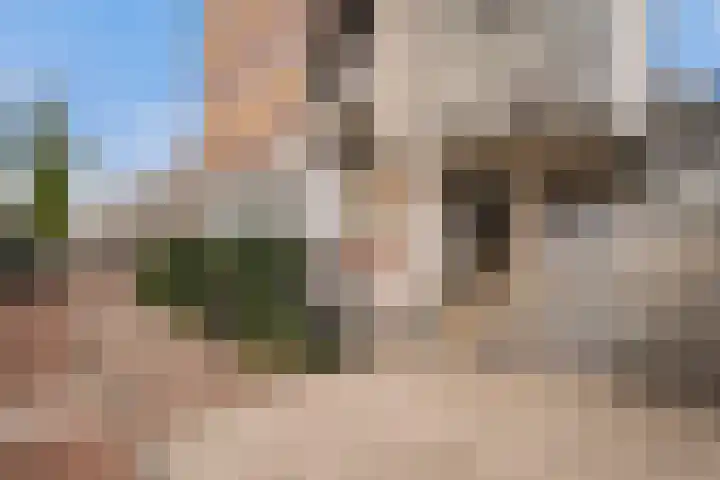 Potbeker 30 Heesch thumbnail 6