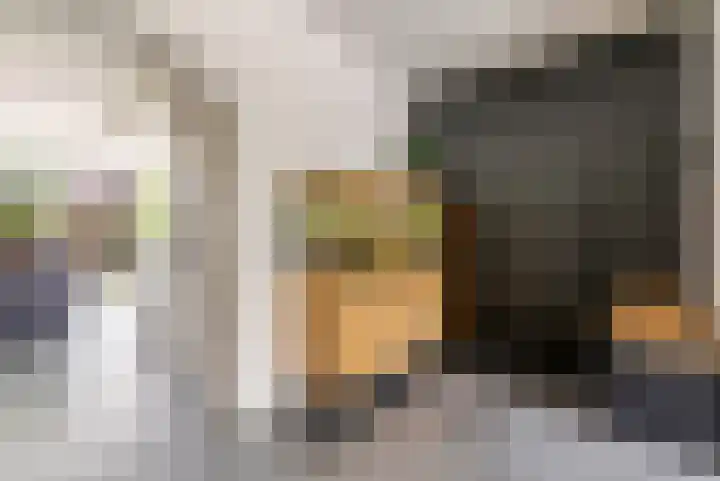 Potbeker 30 Heesch thumbnail 8