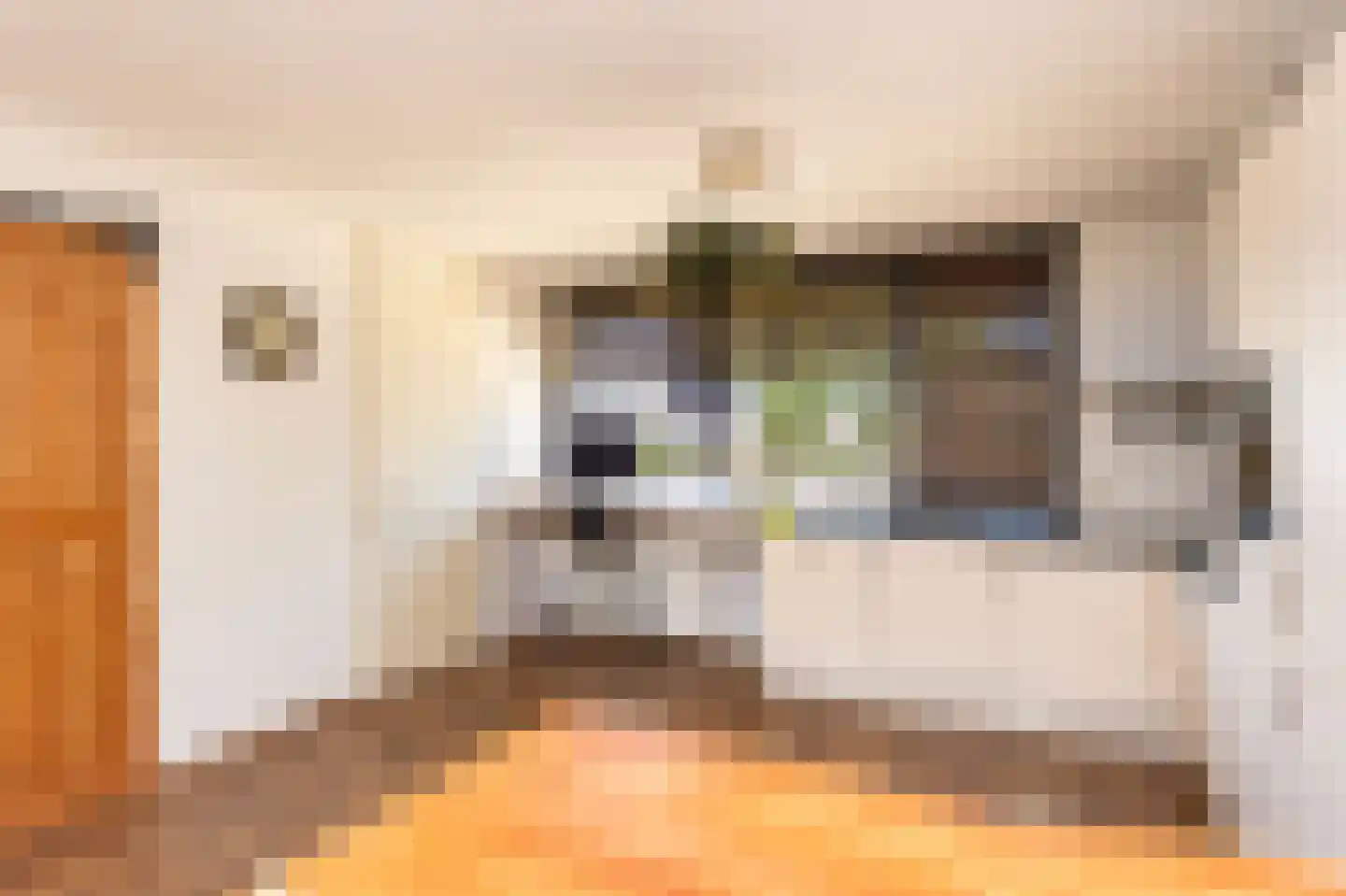 Potbeker 50 Cuijk thumbnail 16