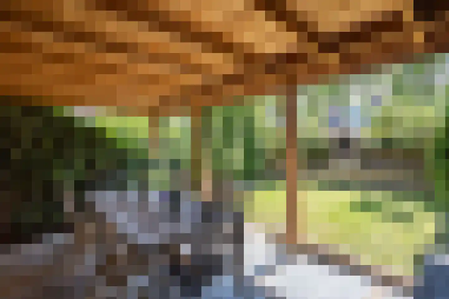 Potbeker 50 Cuijk thumbnail 31