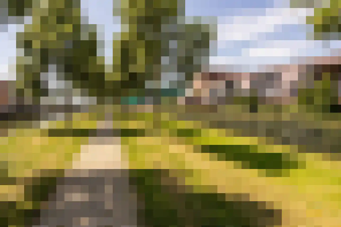 Potbeker 50 Cuijk thumbnail 34