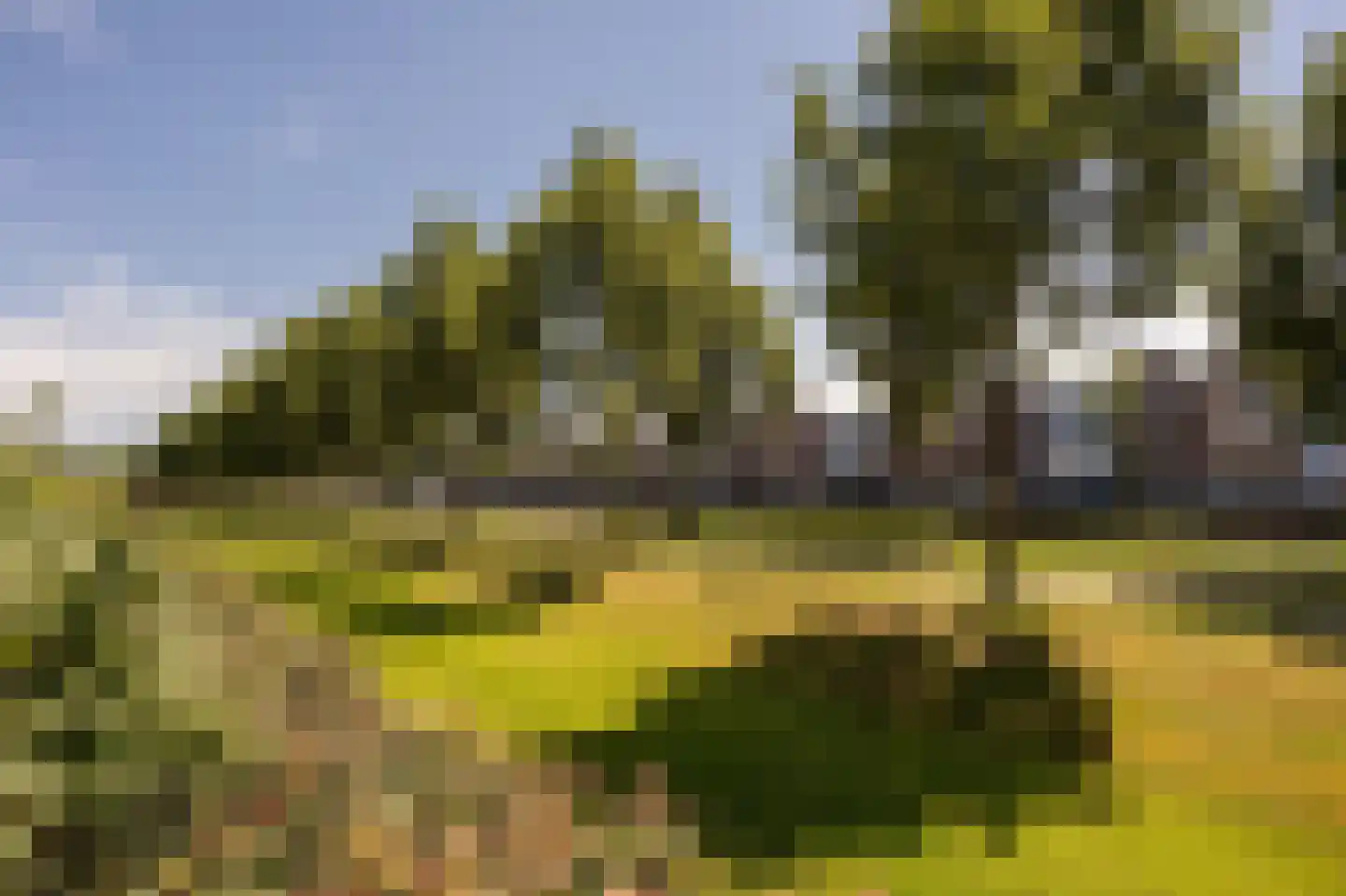 Potbeker 50 Cuijk thumbnail 36