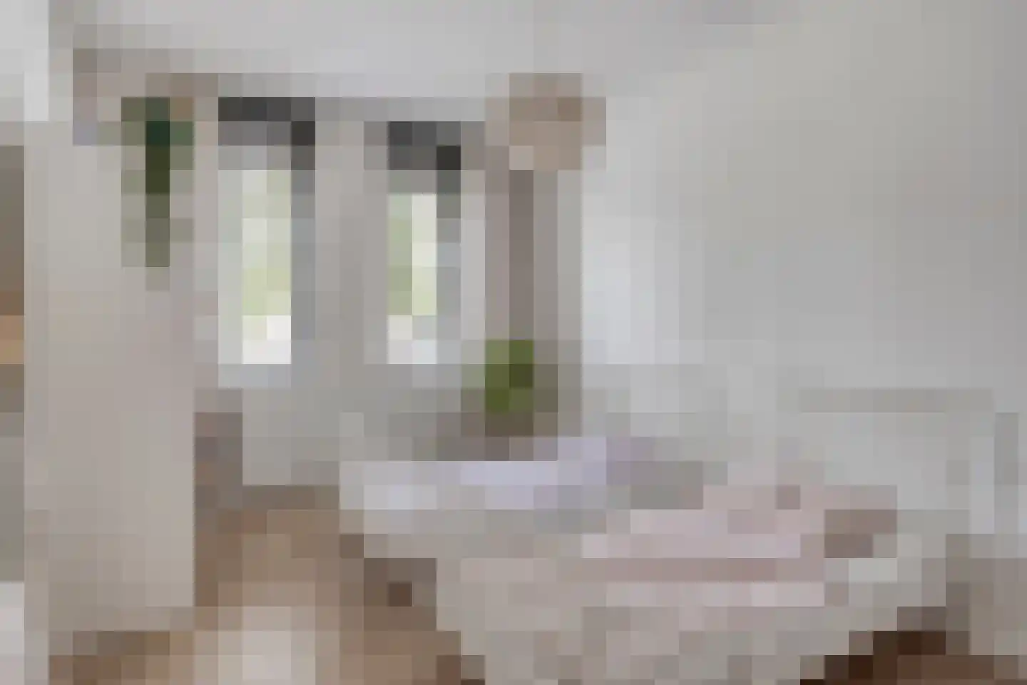 Potbeker 51 Cuijk thumbnail 19