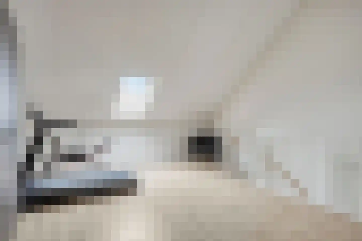 Potbeker 51 Cuijk thumbnail 26