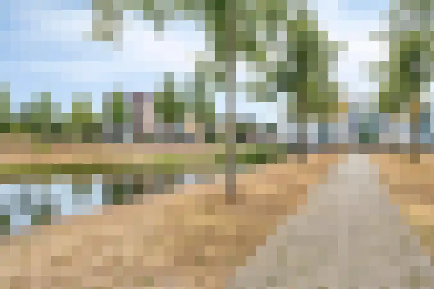 Potbeker 51 Cuijk thumbnail 34