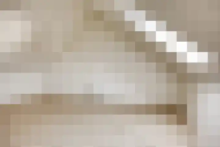 Potbeker 55 Cuijk thumbnail 23