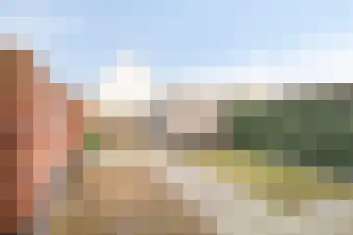 Potbeker 55 Cuijk thumbnail 27