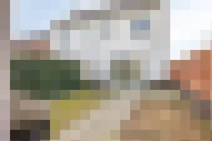 Potbeker 55 Cuijk thumbnail 4