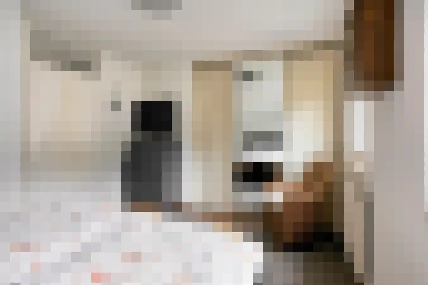 Potbeker 61 Heesch thumbnail 22