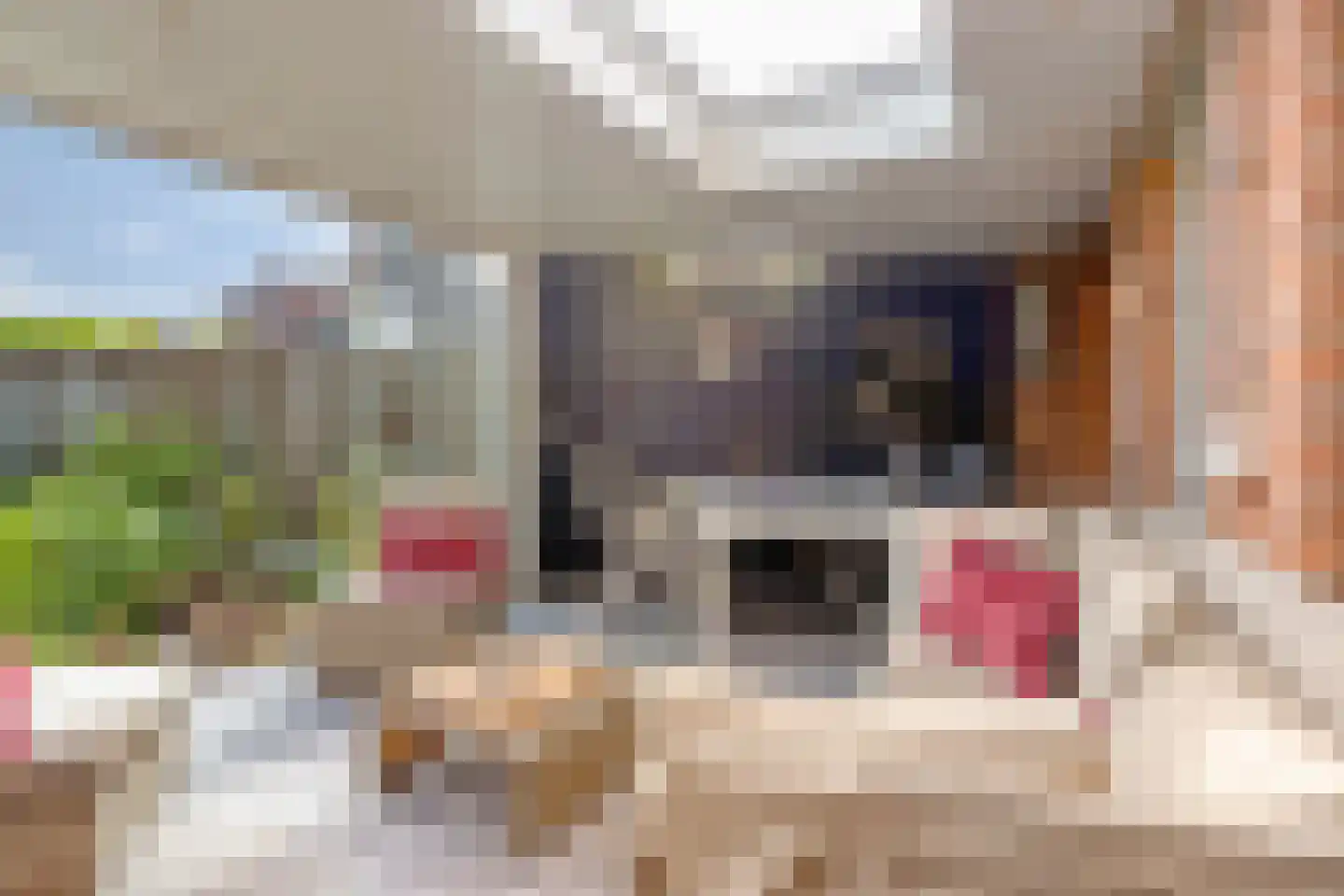 Potbeker 61 Heesch thumbnail 27