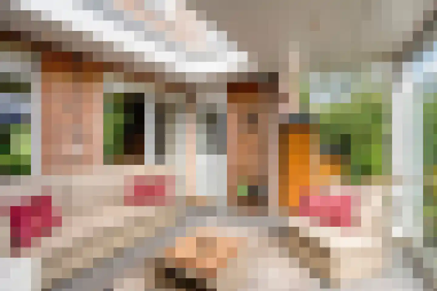 Potbeker 61 Heesch thumbnail 29