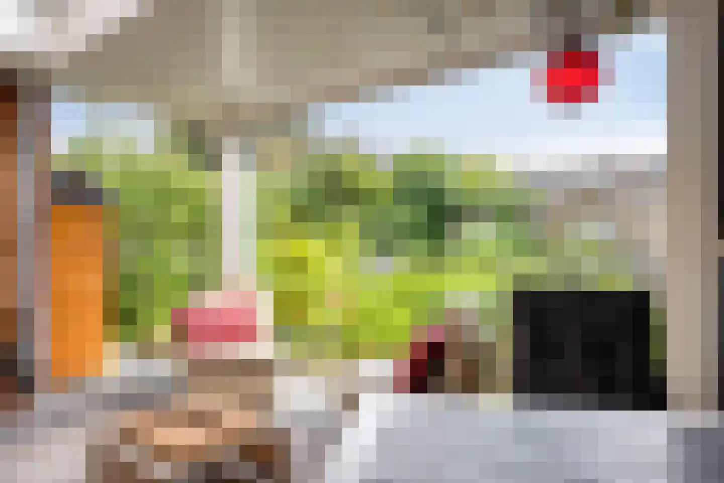 Potbeker 61 Heesch thumbnail 30