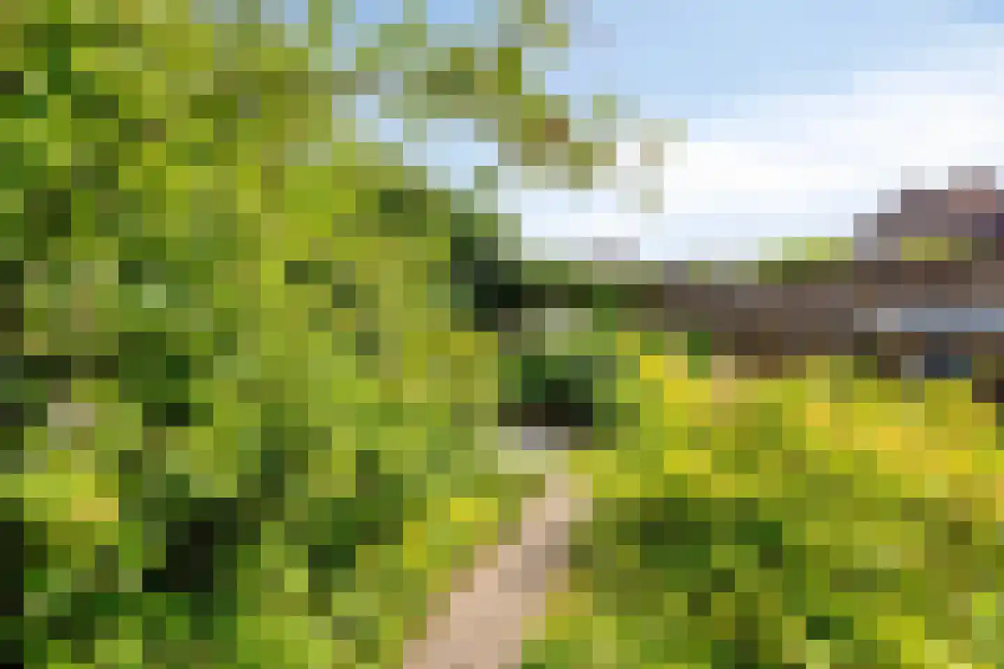 Potbeker 61 Heesch thumbnail 31