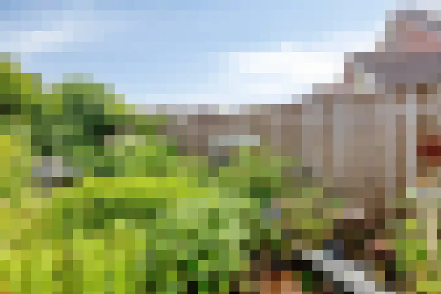 Potbeker 61 Heesch thumbnail 32